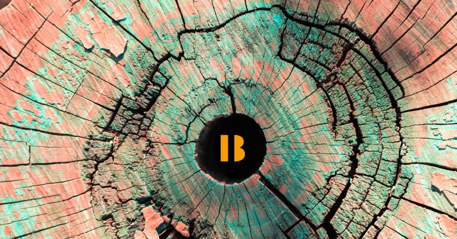 How to Get Rid of White Ants from Your House Naturally: 8 Effective Tips